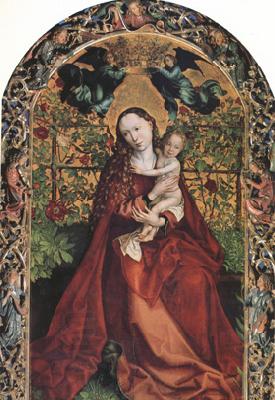 Martin Schongauer The Madonna of the Rose Garden (nn03) oil painting picture